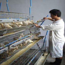 安平沃德金屬絲網制品廠 高品質建筑材料報價及產品圖片展示